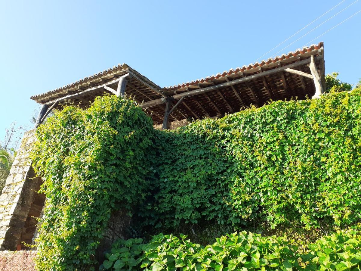 Villa Casa Do Tojo E Rosmaninho Ferreira do Zêzere Exterior foto